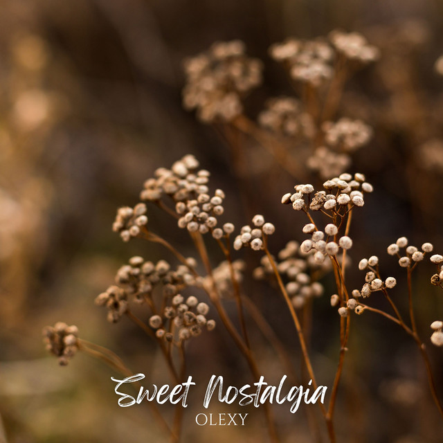 Обкладинка: Sweet Nostalgia — Olexy