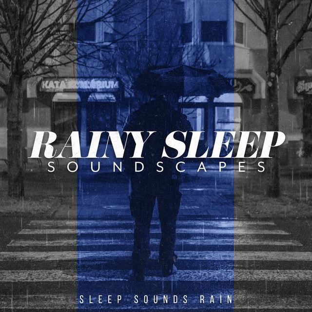 Rainy Sleep Soundscapes - Album by Sleep Sounds Rain | Spotify