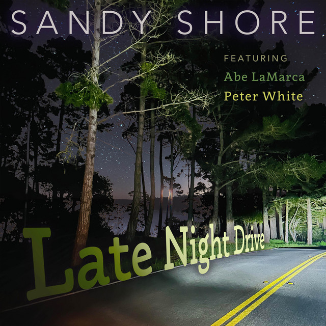 Late Night Drive