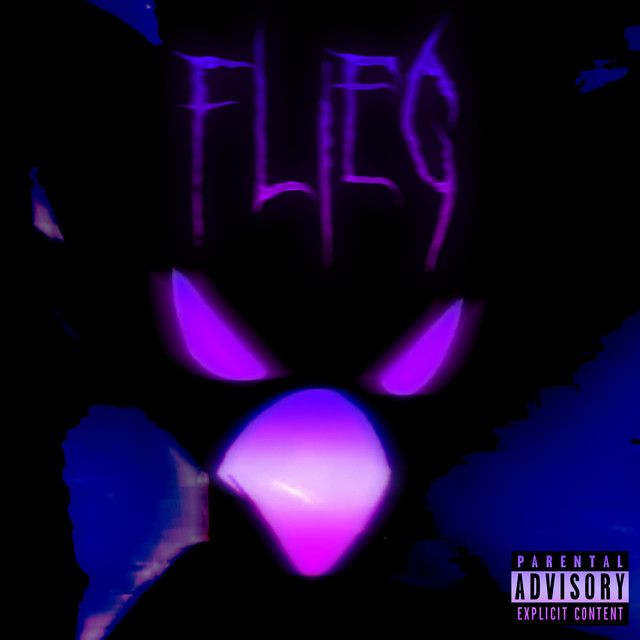 FLIEG cover art