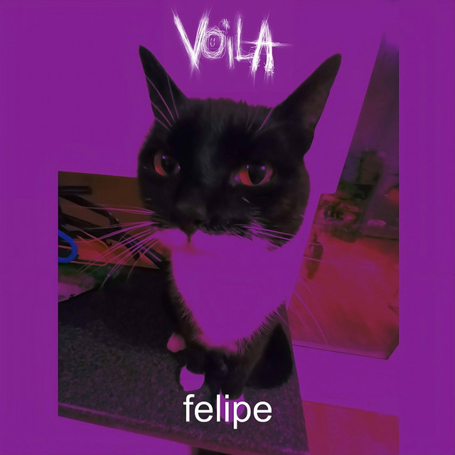 felipe cover art