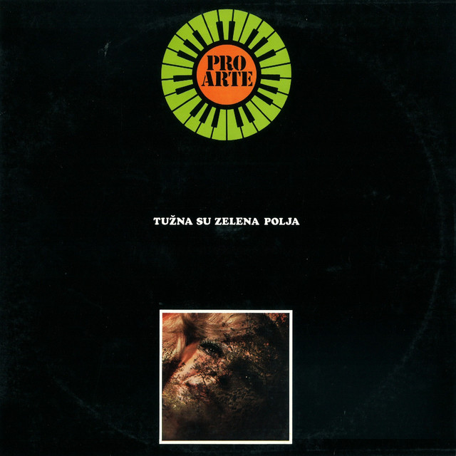Tužna Su Zelena Polja cover art