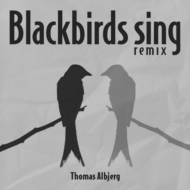 Blackbirds sing (Stefan Storm Remix) cover art