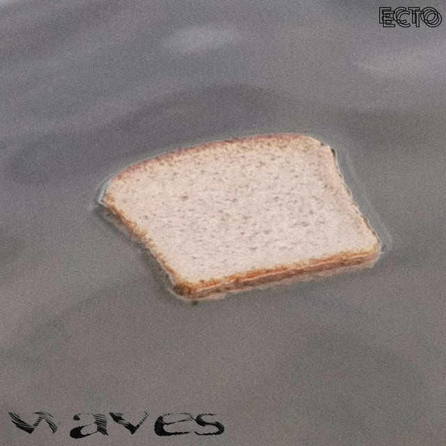 Waves cover art