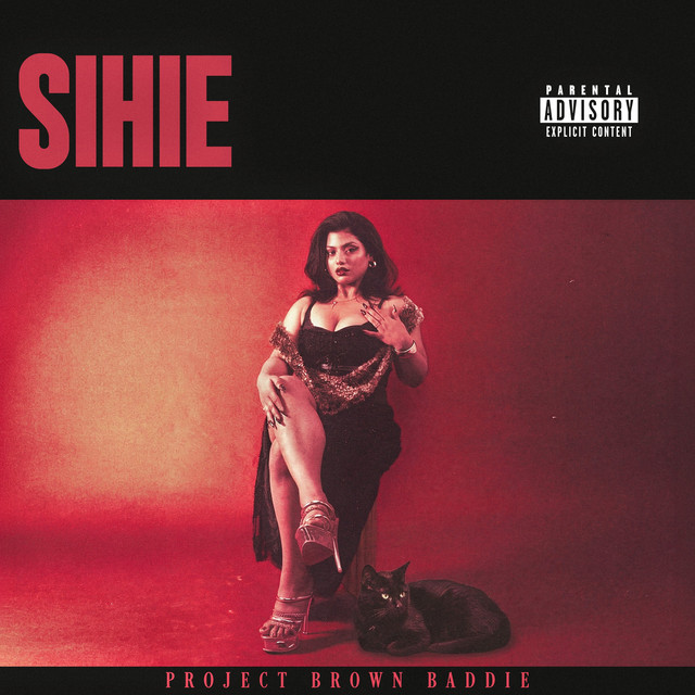 PROJECT BROWN BADDIE cover art