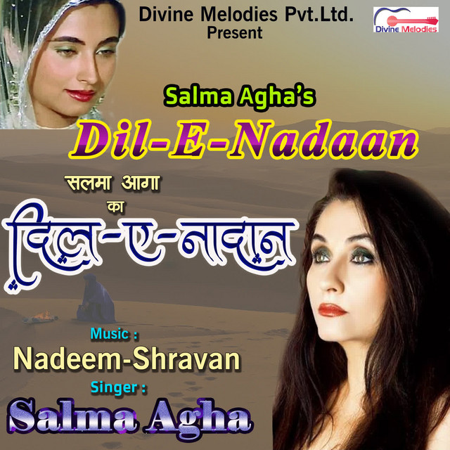 Dil E Nadan cover art