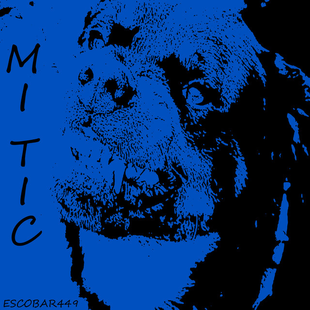 Mi Tic