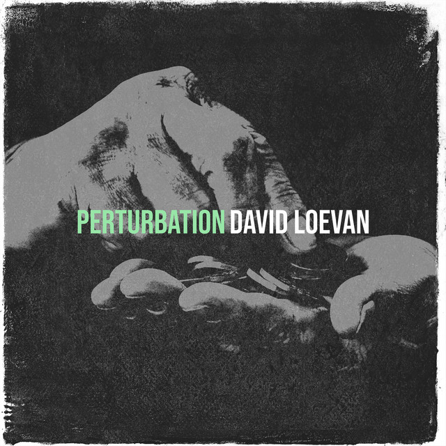 PERTURBATION