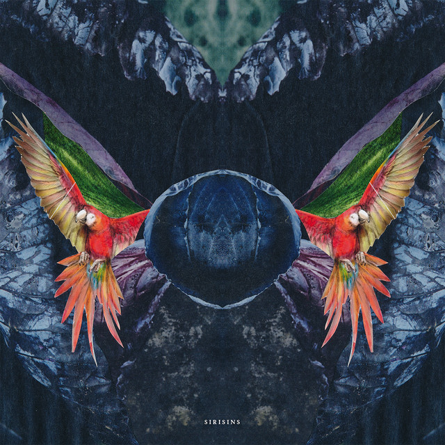Suzi Jacuzzi cover art