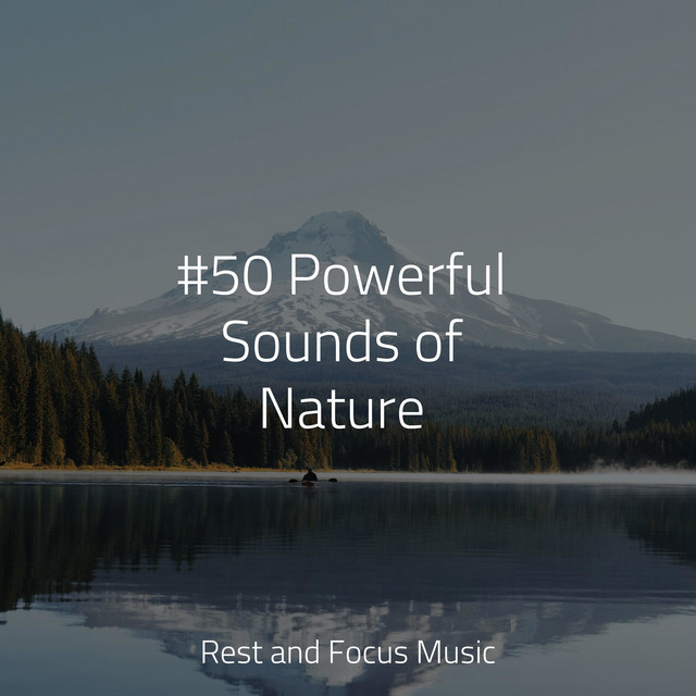 #50 Powerful Sounds of Nature - Album by Yoga Sounds | Spotify