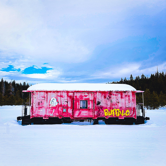 Buffalo cover art