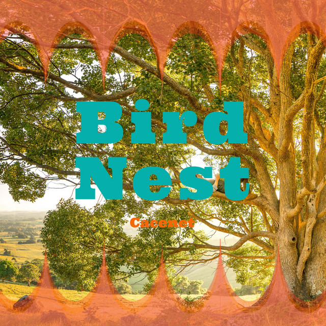 Bird Nest cover art