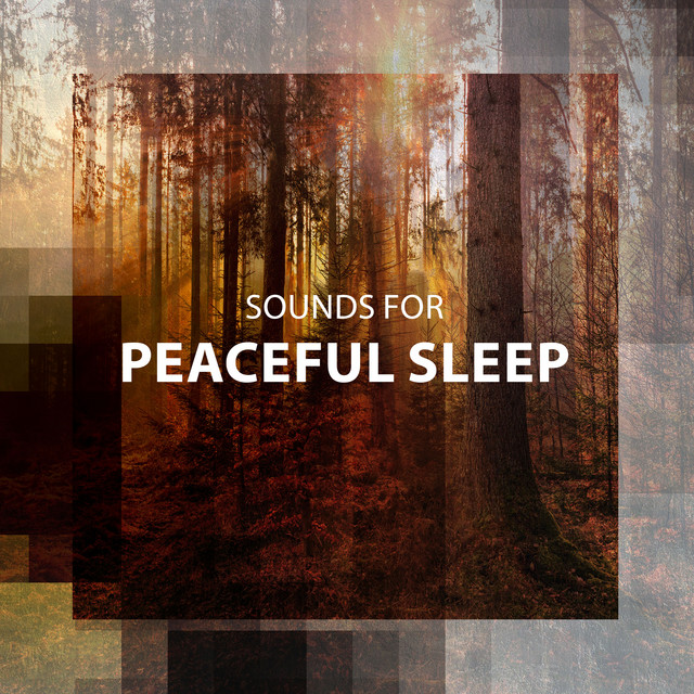 Sounds for Peaceful Sleep ! ! ! ! - Album by Sleep Sounds of Nature ...