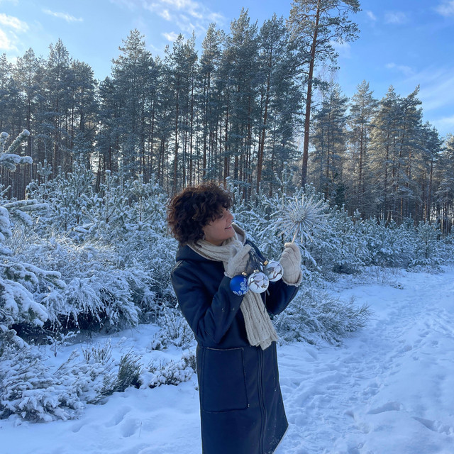 Kalėdų keliu album image