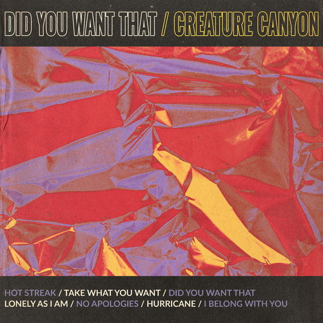 Did You Want That cover art