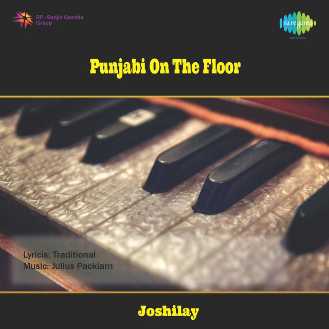 Punjabi On The Floor cover art