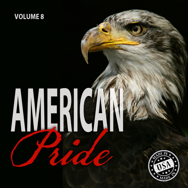 American Pride, Vol. 8 cover