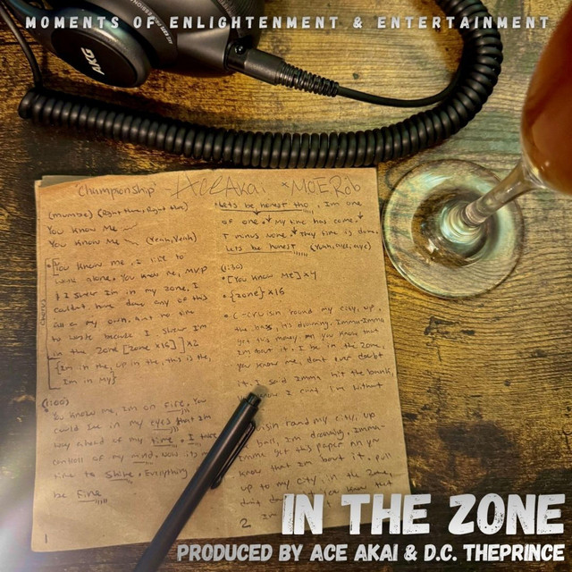 In The Zone cover art