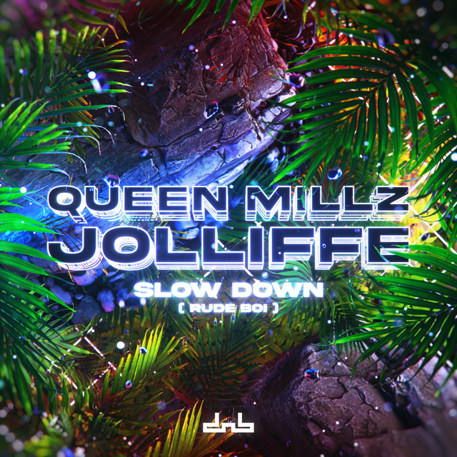 Slow Down (Rude Boi) cover art
