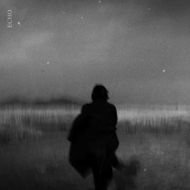 Echo cover art
