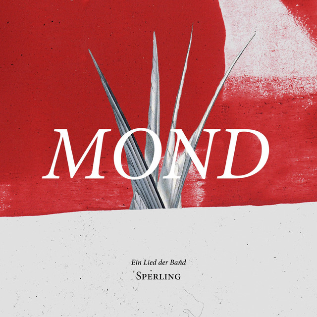 Mond