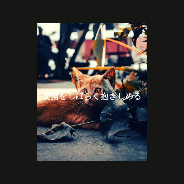 愛猫をしばらく抱きしめる cover art