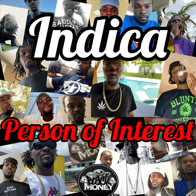 Person of Interest