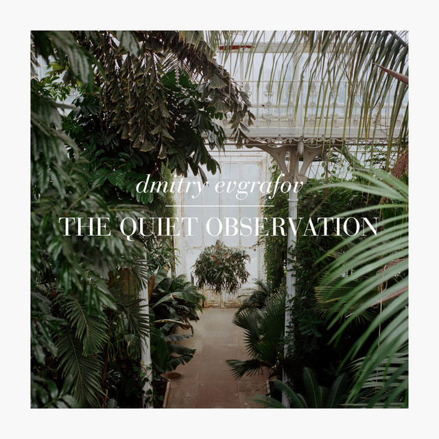 The Quiet Observation cover art