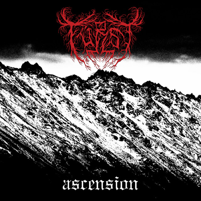 Ascension cover art