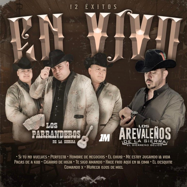 Los Parranderos De La Sierra