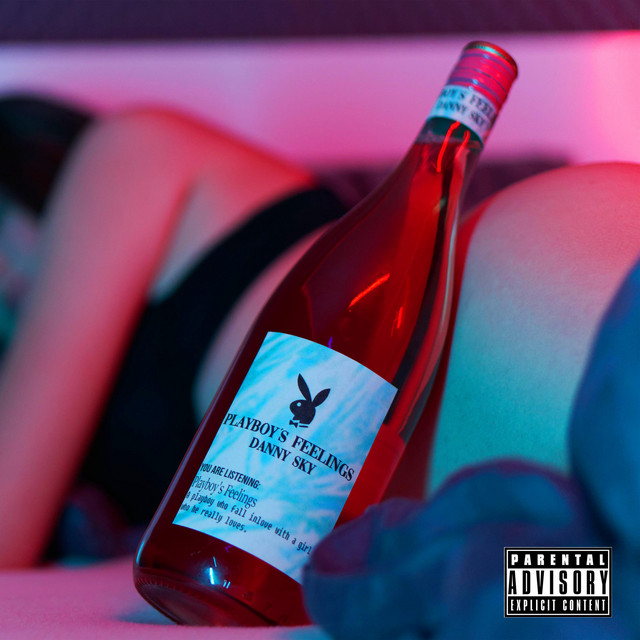 Playboy's Feelings cover art