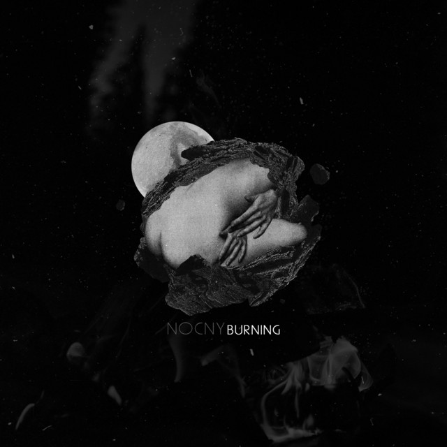 Burning cover art