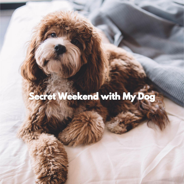 Secret Weekend with My Dog cover art