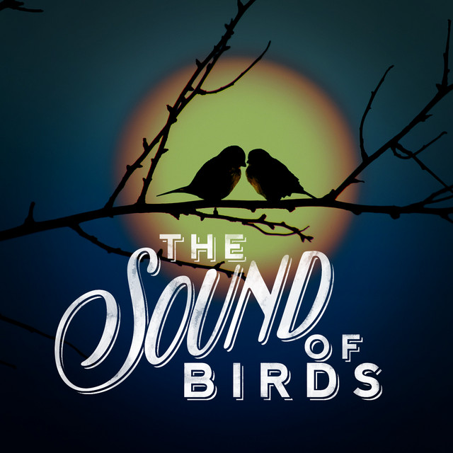 The Sound of Birds cover art