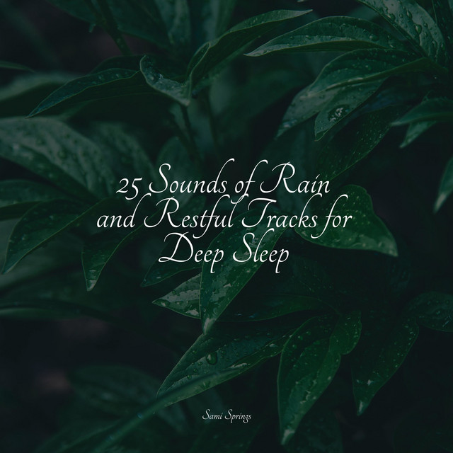 25 Sounds of Rain and Restful Tracks for Deep Sleep - Album by Tinnitus ...
