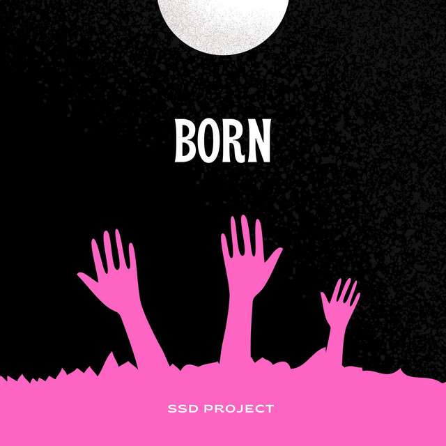SSD PROJECT – BORN