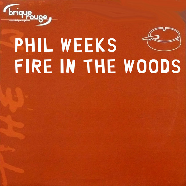 Fire in the Wood - Spettro Dub cover art