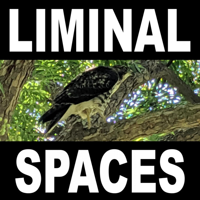 LIMINAL SPACES cover art