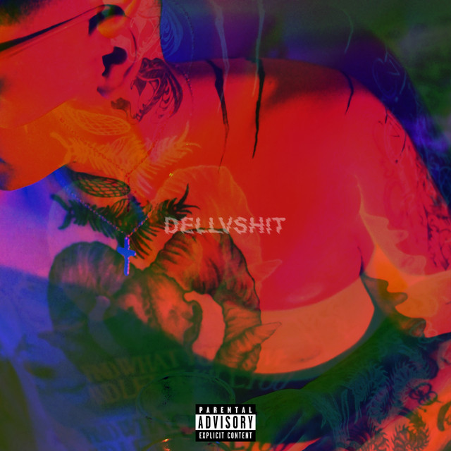 Dellvshit cover art