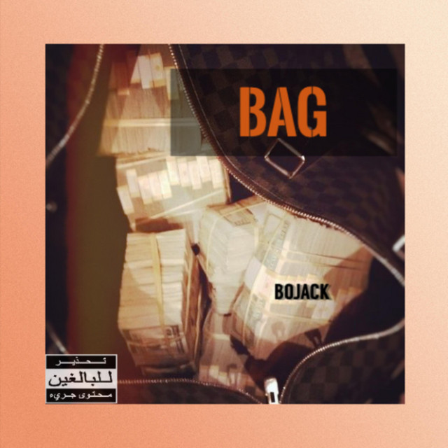 Bag cover art