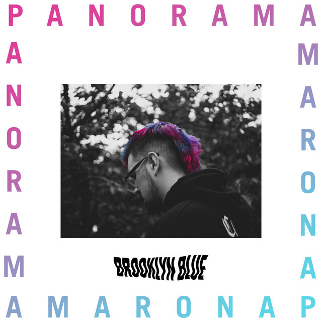 Panorama cover art
