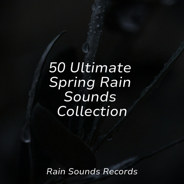 50 Ultimate Spring Rain Sounds Collection - Album by Relaxation | Spotify