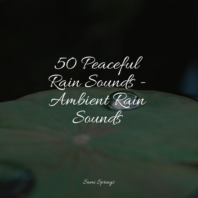 50 Peaceful Rain Sounds - Ambient Rain Sounds - Album by Spa Music ...