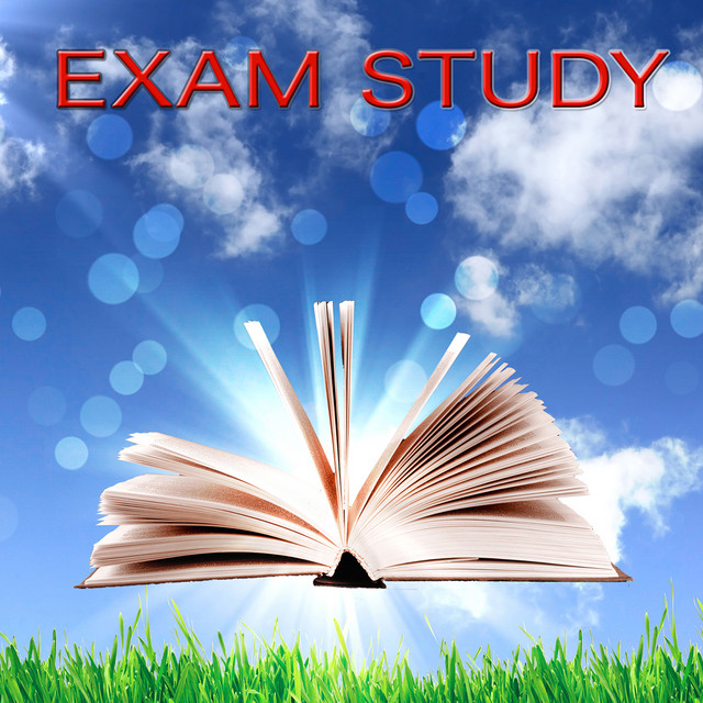 Exam Study - Relaxing New Age Concentration Music for Studying Brain Food cover art