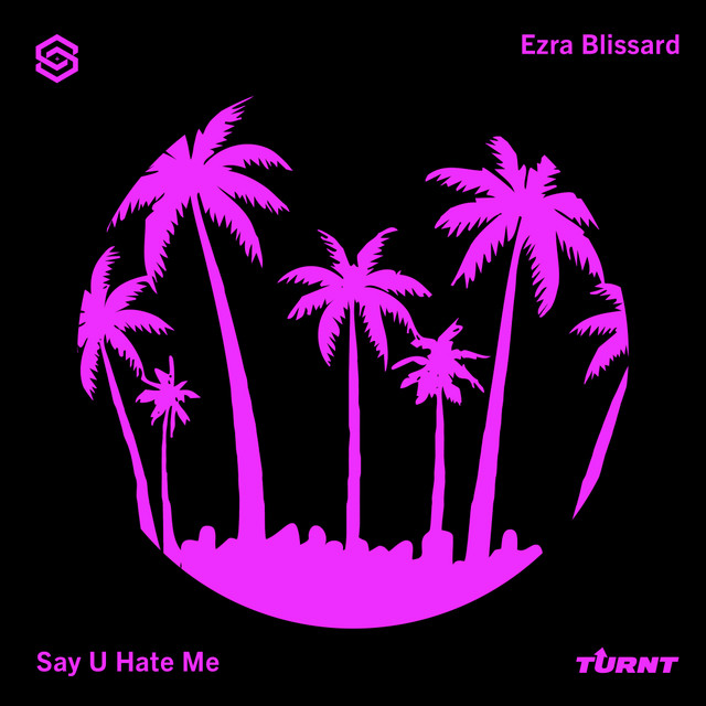 Say U Hate Me