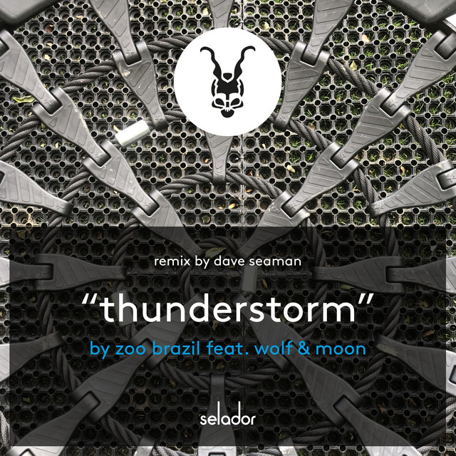 Thunderstorm cover art