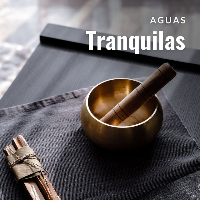 Aguas Tranquilas: Música de Masaje cover art