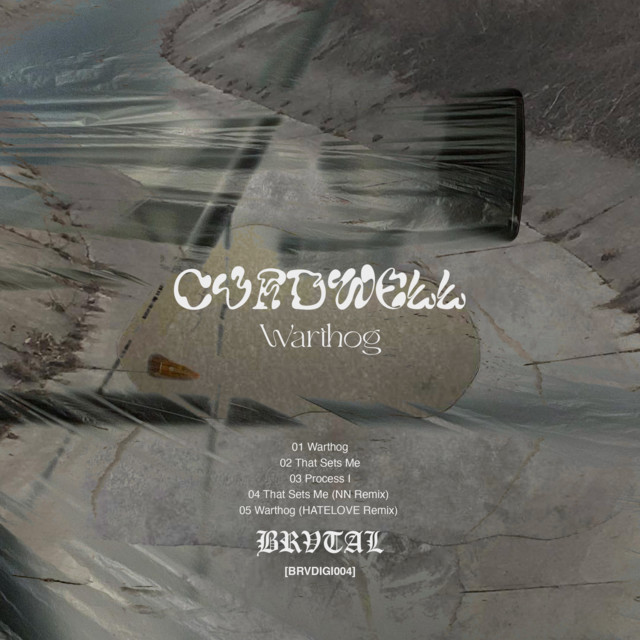 That Sets Me cover art