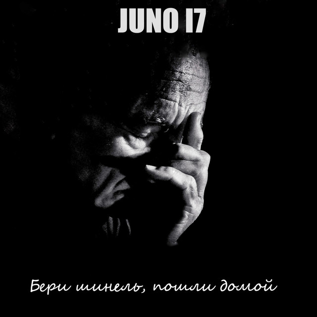 Бери шинель, пошли домой cover