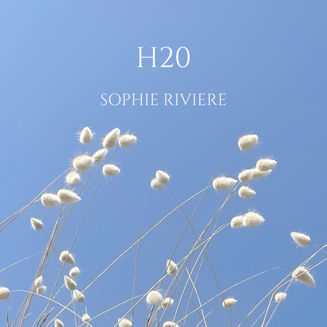 H20